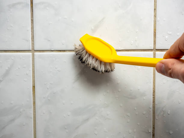 Best Mold Damage Repair  in Waimalu, HI