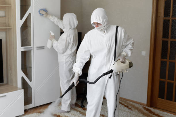 Crawl Space Mold Removal in Waimalu, HI